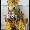 MAHAPRABHU NAGARJUNA BESHA | Justkalinga.com.