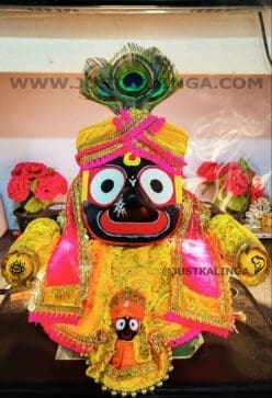 PREMIUM DRESS FOR PATITOPABAN MAHAPRABHU (YELLOW WELBET CLOTH) | Justkalinga.com.