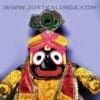 PREMIUM DRESS FOR PATITOPABAN MAHAPRABHU (YELLOW WELBET CLOTH) | Justkalinga.com.