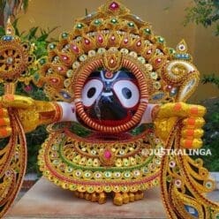 Besha for only Jagannatha