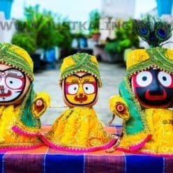 PREMIUM DRESS FOR MAHAPRABHU FULL SET (YELLOW WELBET CLOTH) | Justkalinga.com.
