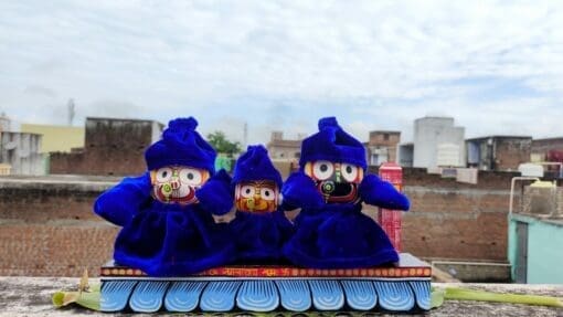 Winter Dress for cold days for Mahaprabhu Shri jagannath & family | Justkalinga.com.