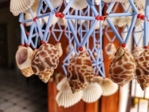 WINDCHIME FOR HOME DECOR AND SPIRITUAL PURPOSE (SEASHELL JHUMAR) | Justkalinga.com.