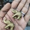 The brass "Elephant Jodi" justkalinga.com