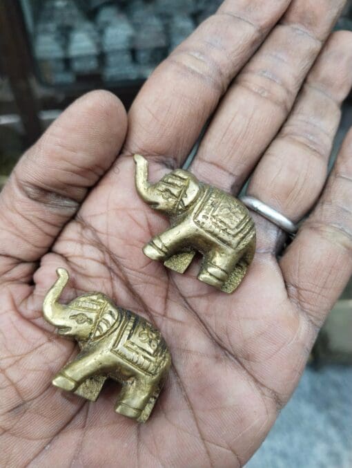 The brass "Elephant Jodi" justkalinga.com