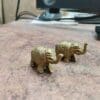 The brass "Elephant Jodi" justkalinga.com