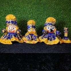 Trilochanam Dress( 14parts of the dress)