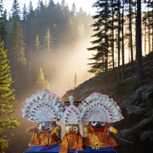 SHRI JAGANNATH RATHA YATRA TAHIA