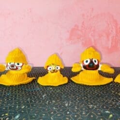 Premium cold day dress( 12parts of the dress)