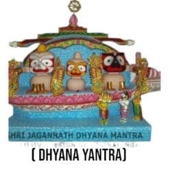 Large 3x5 ft. hand-carved neem wood Shri Jagannath Dhyana Yantra for meditation and puja.