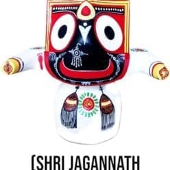 A white colored murti of Lord Shri Jagannath Mahaprabhu in Pratitopaban form, crafted from pure neem wood. It is 12 cm tall and is described as bringing a divine presence to your home and its intricate design and spiritual essence make it perfect for daily worship.