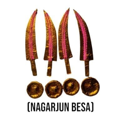 Shri Jagannath's Nagarjun Besha (8 Parts)