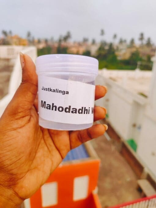 buy mahodadhi Water form justkalinga.com