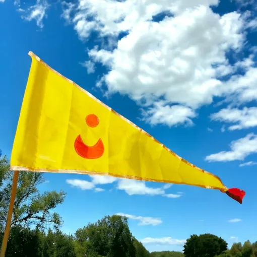 Sun-Moon Flag displayed in a home, bringing blessings of Lord Jagannath.