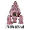 Handcrafted Padma Besha for Lord Jagannath murti, featuring lotus flower motifs.