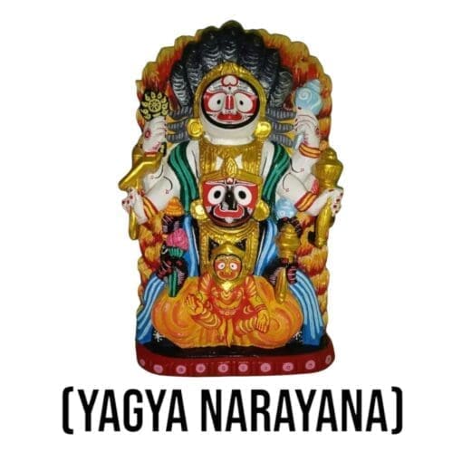 Large Yagya Narayan Jagannath murti on a home altar, promoting spiritual well-being, eco-friendly practices, and cultural preservation.