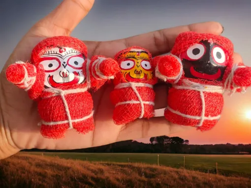 Jagannath Mahaprabhu with Senapata Lagi murti set, including Sudarsan Chakra, Nirmalya Mahaprasadam, Sanjua, premium dress set, and Puja guide.