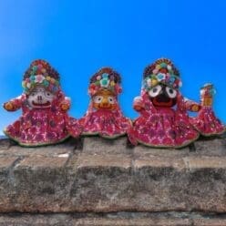 Premavardhani Dress (15 Parts)