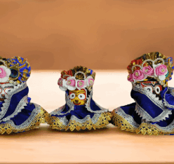 Nilambu Premium Dress Set -(15 Parts)