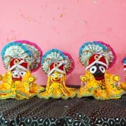 Sweta Laxmi Premium Dress and Mukut Set (19 Parts)