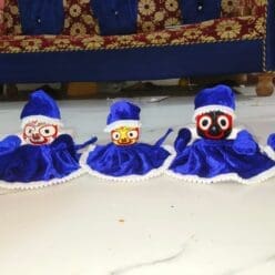 Premium cold day dress( 11parts)-blue color