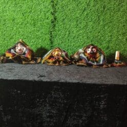 Barapatia dress (7part)